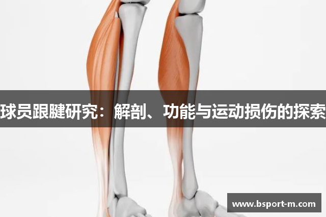球员跟腱研究：解剖、功能与运动损伤的探索