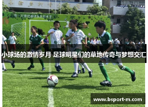 小球场的激情岁月 足球明星们的草地传奇与梦想交汇